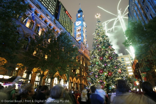 Martin Place Chrsitmas Tree and Fireworks